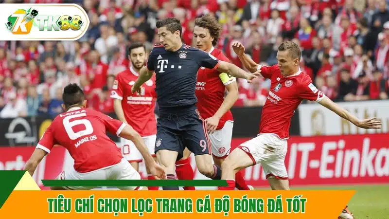 Tham khảo tiêu chí chọn lọc trang cá độ bóng đá tốt Tham khảo tiêu chí chọn lọc trang cá độ bóng đá tốt