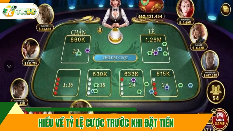Hiểu về tỷ lệ cược trước khi đặt tiền
